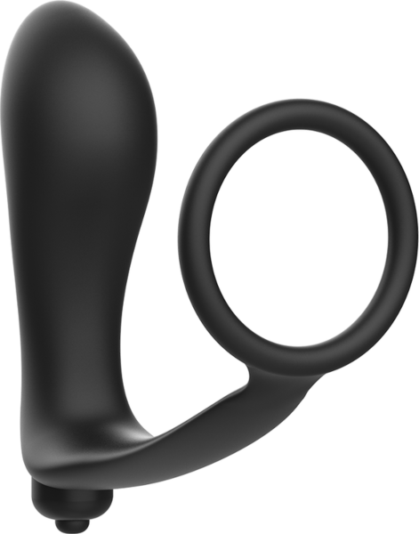 Plug anal Addicted Toys avec anneau pénien
