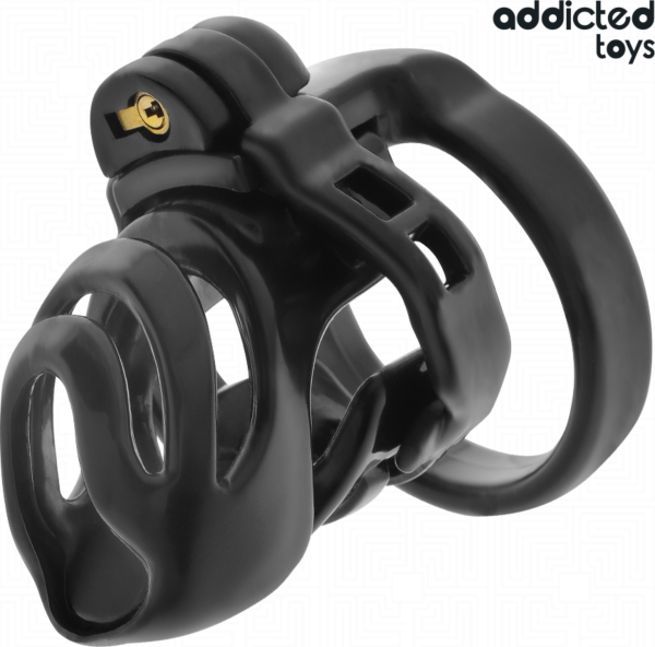 Cage de chasteté Addicted Toys Locked Eternal Lock avec sa pièce de base, ses anneaux et ses clés