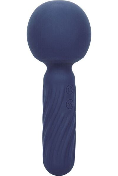 Wand de massage CalExotics Charisma Seduction bleu, avec sa tête bulbeuse