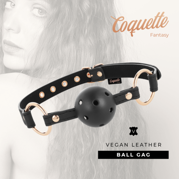 Bâillon boule Coquette Chic Desire Fantasy avec trous de respiration
