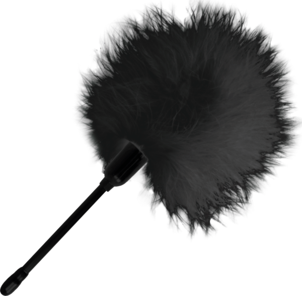 Plume érotique Darkness de 20 cm, de couleur noire, avec son manche