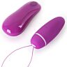 Vibrateur BSwish Bnaughty Deluxe sans fil