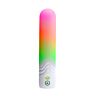 Vibromasseur Paradise Pleasure Products The Bullet à lumière RGB