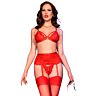 Ensemble de lingerie Chilirose CR 4895 avec flogger