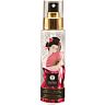 Nettoyant doux SHUNGA 115 ML pour jouets intimes