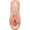 Masturbateur PDX PLUS+ Perfect Pussy Heaven avec détails hyperréalistes