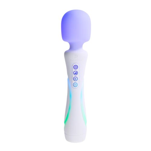 Vibrateur Paradise Pleasure Products The Wand avec fonctions personnalisables