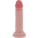 Pénis réaliste GET REAL 15 CM avec ventouse