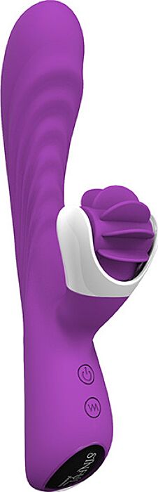 Vibrateur S Pleasures Roar Purple avec stimulation double Vibrateur S Pleasures Roar Purple avec stimulation double