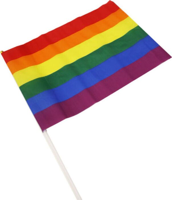 Banderín Mediano PRIDE Bandera LGBT - Celebra el Orgullo Banderín Mediano PRIDE Bandera LGBT - Celebra el Orgullo