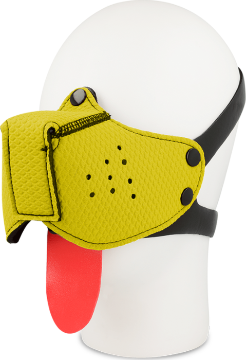 Bozal Amarillo Ohmama