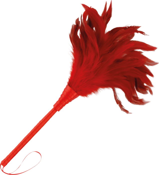 Plume stimulateur Darkness 24cm pour des sensations érotiques